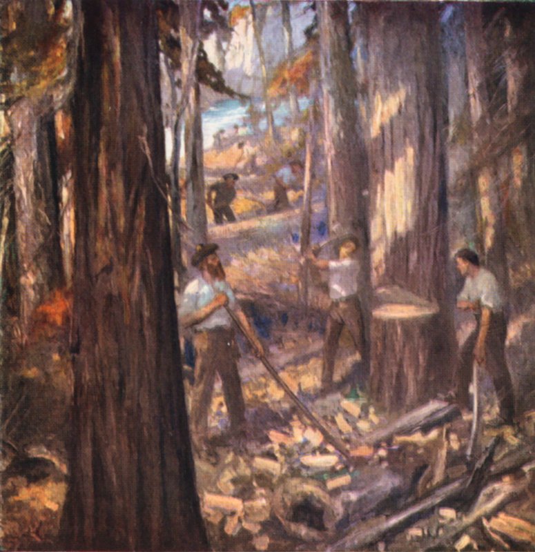 Nowy Brunszwik, William Davidson, pierwszy drwal w Kanadzie, tnący maszty dla brytyjskiej marynarki wojennej (kolorowa litografia) autorstwa English School