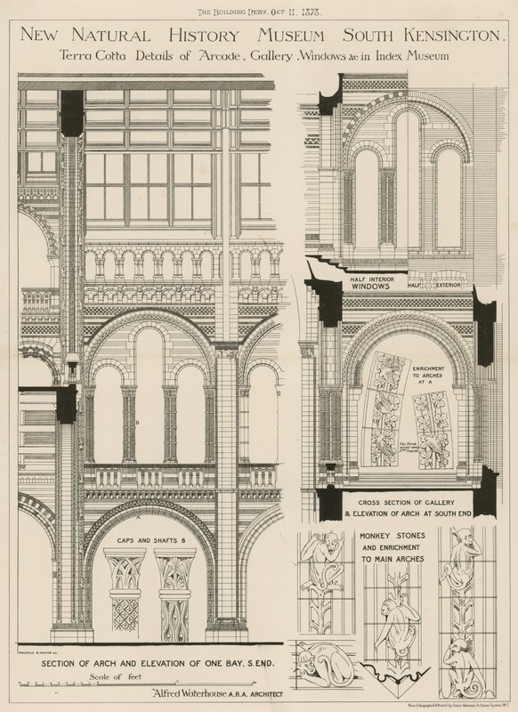 Nowe Muzeum Historii Naturalnej, South Kensington, Londyn autorstwa English School