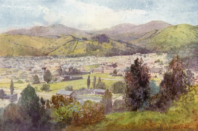 Nowa Zelandia: Nelson (druk kolorowy) autorstwa English School