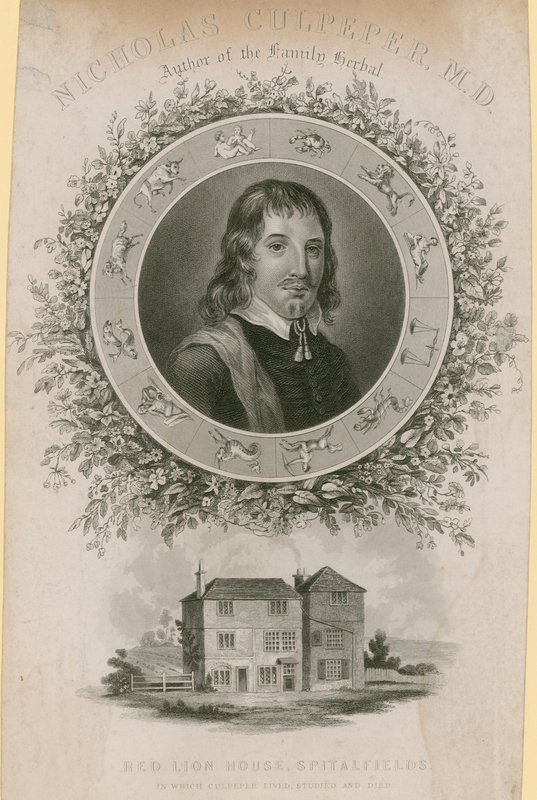 Nicholas Culpepper, MD autorstwa English School