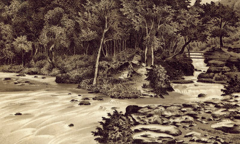 North Devon: "The Watersmeet", Lynmouth (litografia) autorstwa English School