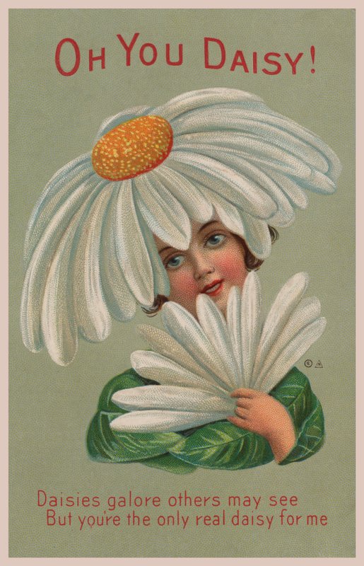 O You Daisy! (kolorowa litografia) autorstwa English School