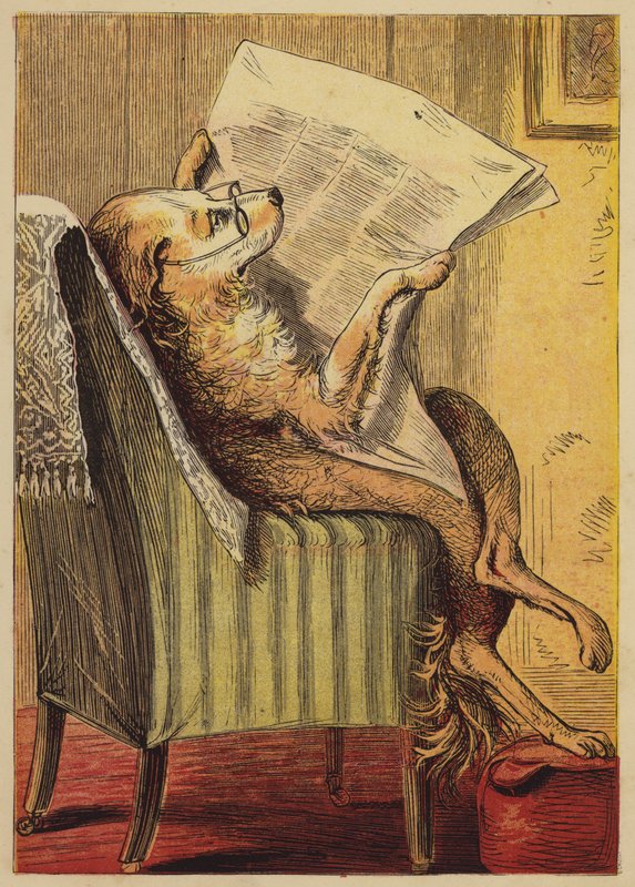 Old Mother Hubbard (kolorowy grawerunek) autorstwa English School