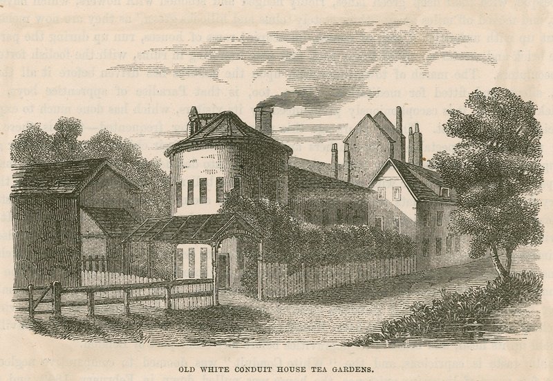 Ogrody herbaciane Old White Conduit House, Pentonville, Londyn autorstwa English School