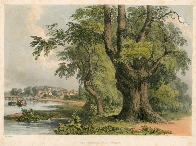 Nad Tamizą, niedaleko Putney, Londyn autorstwa English School