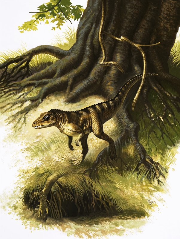 Onithosuchus autorstwa English School