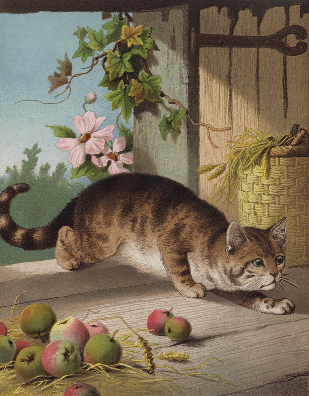 Nasz Tom (chromolitho) autorstwa English School