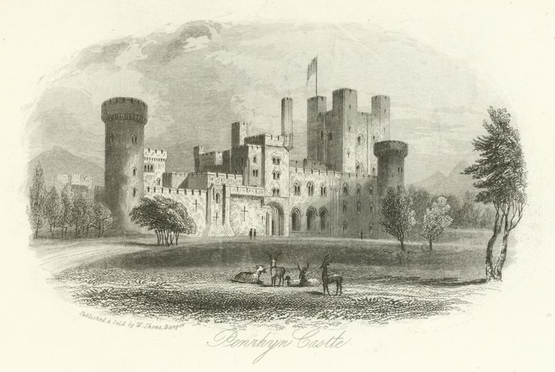 Zamek Penrhyn, Llandygai, Walia autorstwa English School