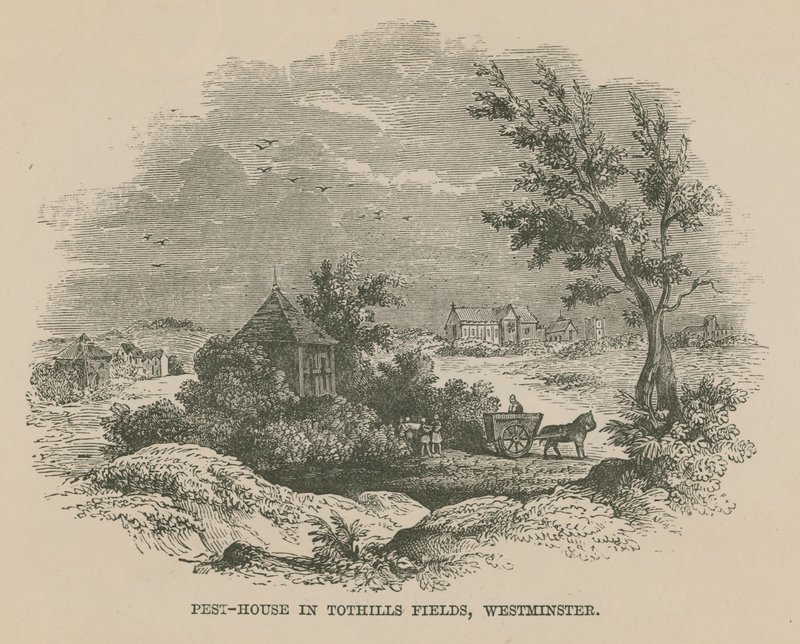 Dom szkodników w Tothill Fields autorstwa English School