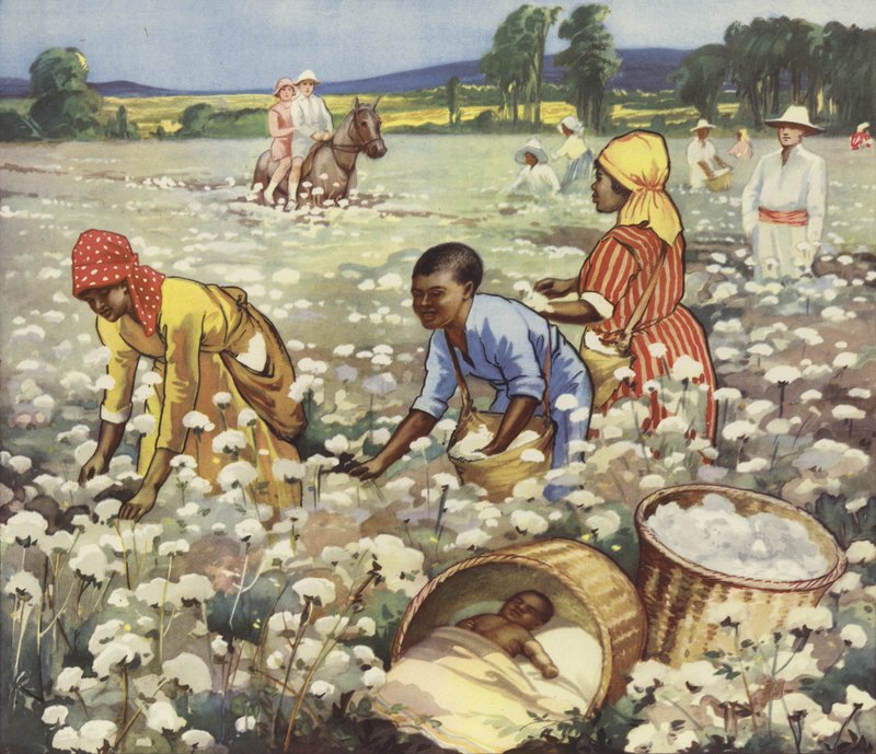 Zbieranie bawełny na amerykańskiej plantacji (kolor lito) autorstwa English School