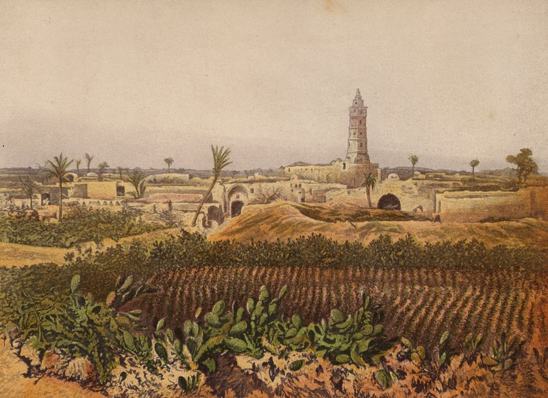 Miejsca wymienione w Biblii: Gaza, Stare Miasto autorstwa English School