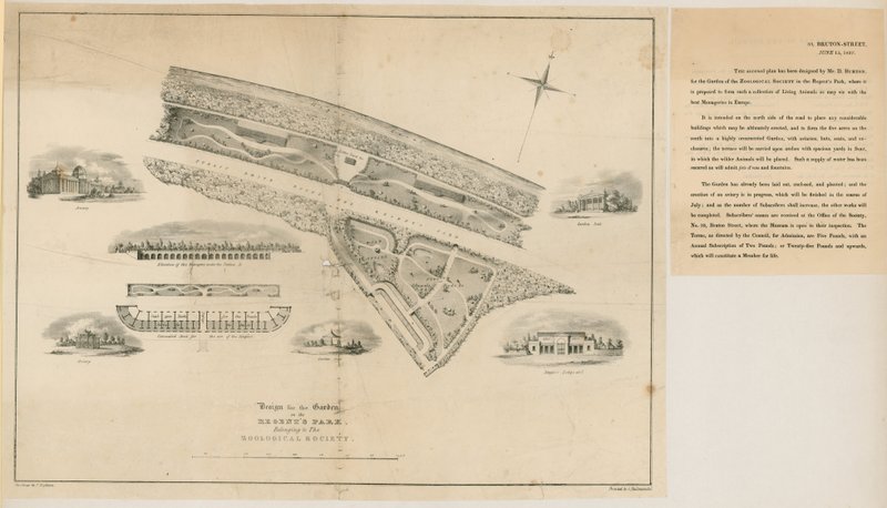 Plan ogrodów zoologicznych, Regents Park, 1827 r. autorstwa English School