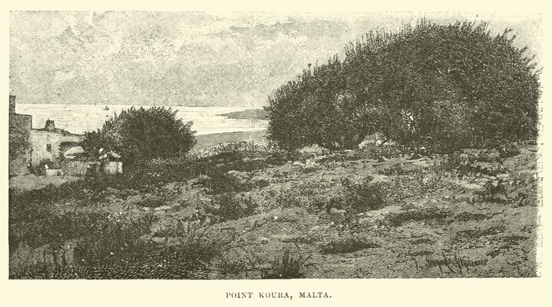 Point Koura, Malta autorstwa English School