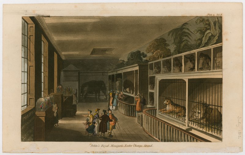 Politos Royal Menagerie, Exeter Change, Strand autorstwa English School