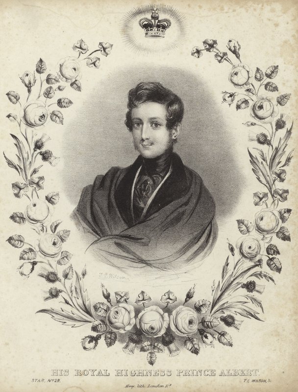 Portret Alberta, księcia małżonka autorstwa English School