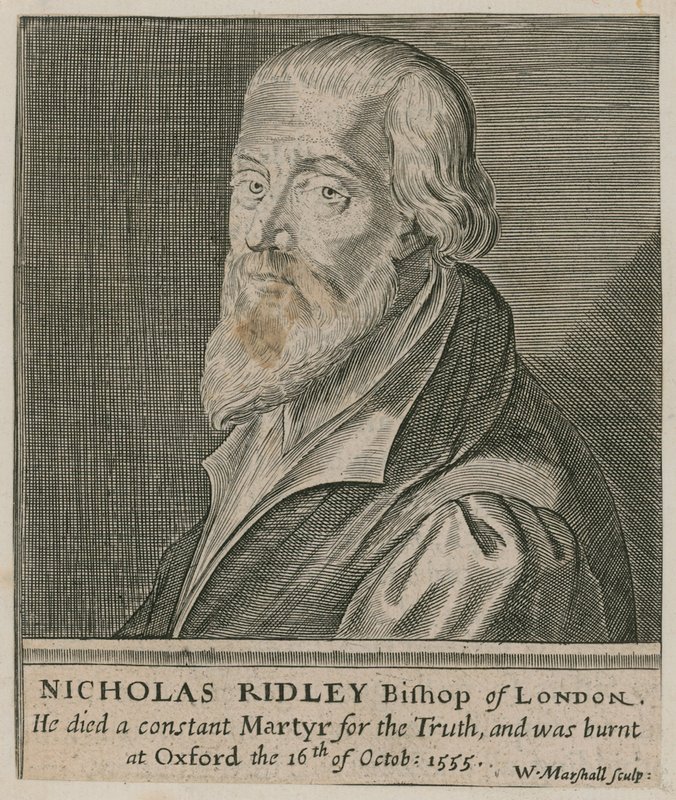 Portret Nicholasa Ridleya autorstwa English School