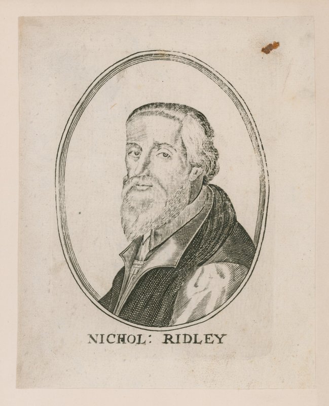 Portret Nicholasa Ridleya autorstwa English School