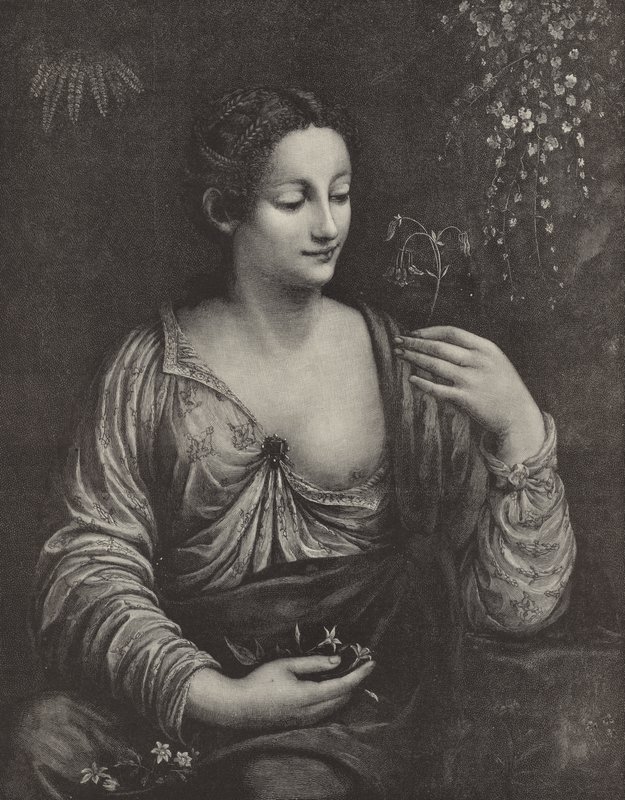 Portret młodej damy autorstwa English School