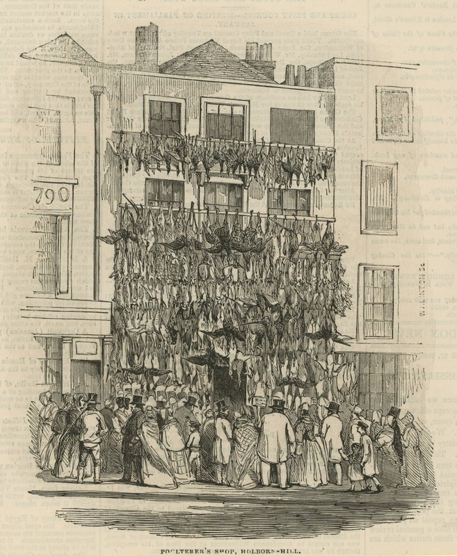 Sklep drobiarkowy na Holborn Hill autorstwa English School
