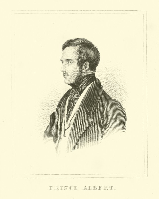 Książę Albert autorstwa English School