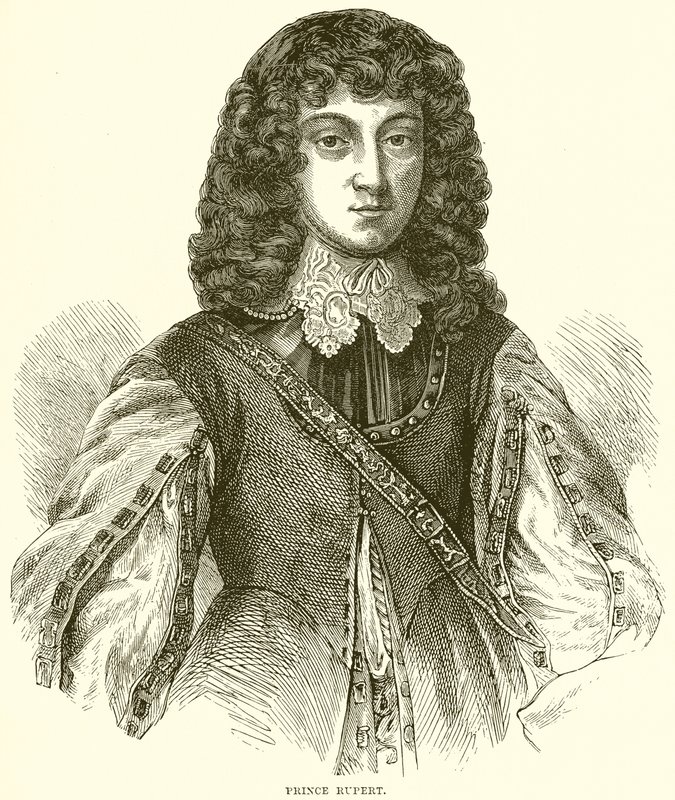 Książę Rupert autorstwa English School