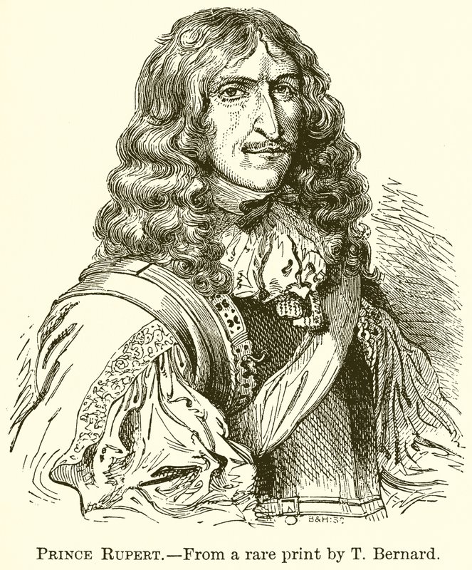 Książę Rupert autorstwa English School