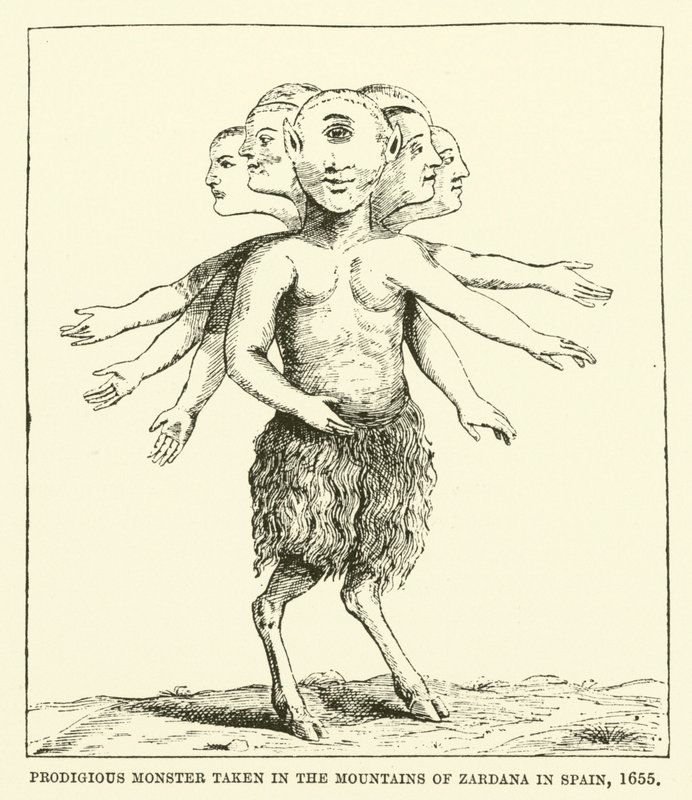 Cudowny potwór schwytany w górach Zardana w Hiszpanii, 1655 autorstwa English School