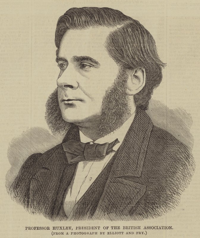 Profesor Huxley, Prezes Brytyjskiego Stowarzyszenia (grafika) autorstwa English School