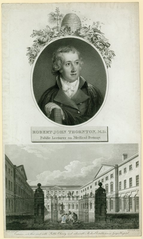 Profesor John Thornton, wykładowca botaniki medycznej autorstwa English School