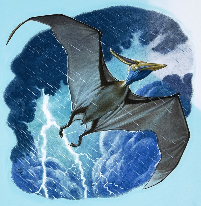 Pterodaktyl autorstwa English School