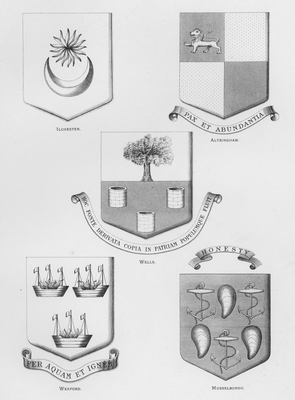 Broń publiczna: Ilchester; Altringham; Studnie; Wexford; Musselburgh (grawerowanie) autorstwa English School