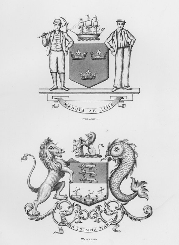 Broń publiczna: Tynemouth; Waterford (grawerowanie) autorstwa English School