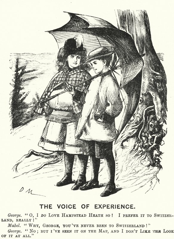 Punch cartoon: The Voice of Experience (grawerowanie) autorstwa English School