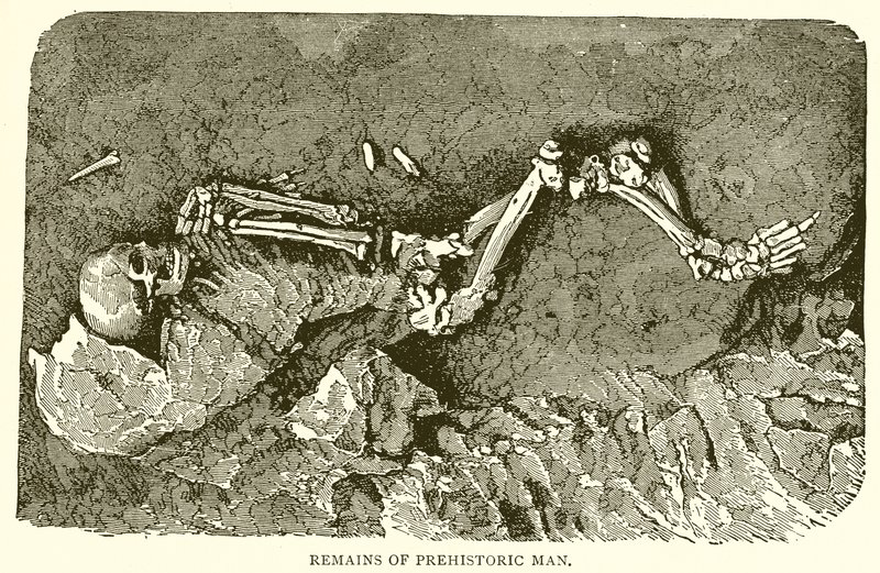 Pozostałości prehistorycznego człowieka autorstwa English School