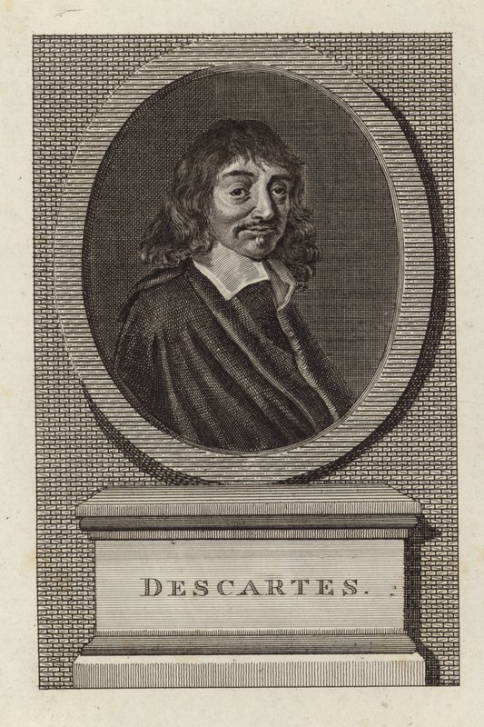 René Descartes autorstwa English School