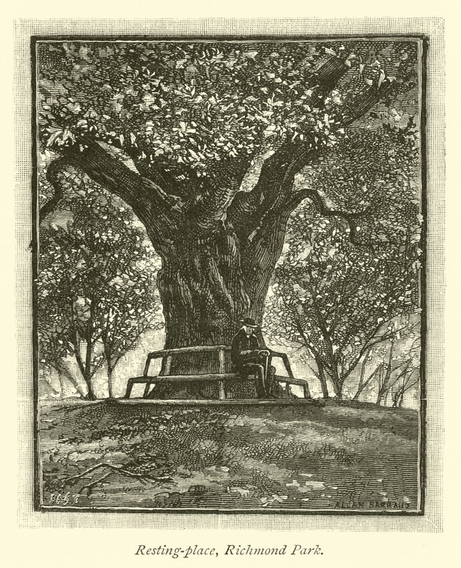 Miejsce odpoczynku, Richmond Park autorstwa English School