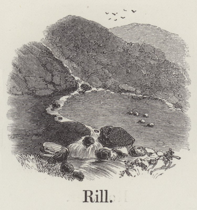 Rill (grawerowanie) autorstwa English School