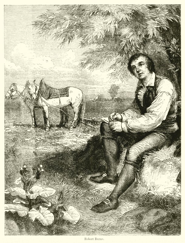 Robert Burns (rycina) autorstwa English School