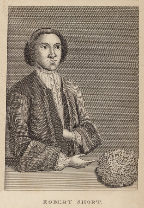 Robert Short autorstwa English School
