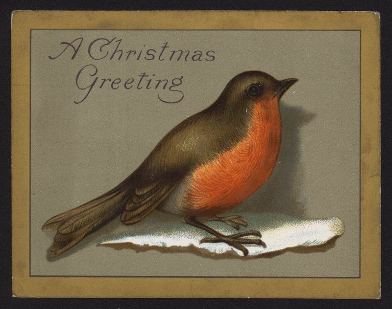 Rudzik (chromolitho) autorstwa English School