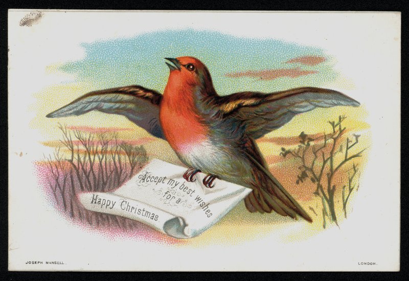 Robin z wiadomością bożonarodzeniową, kartka z życzeniami. (chromolit) autorstwa English School