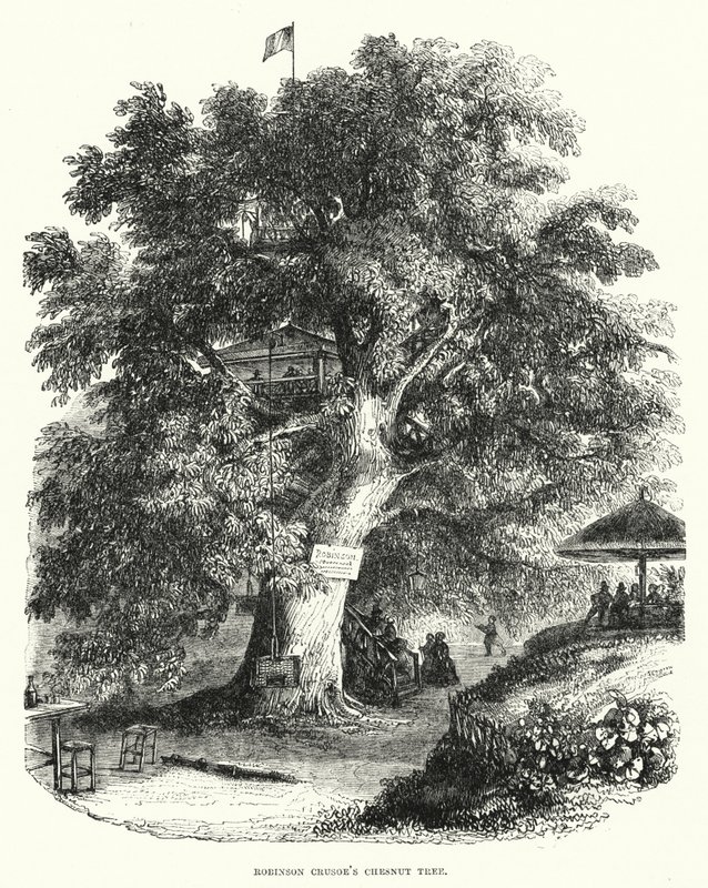Drzewo kasztanowca Robinsona Crusoe (grawerowanie) autorstwa English School