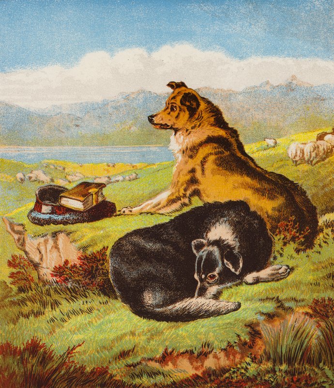 Rover i Hector (kolorowa litografia) autorstwa English School