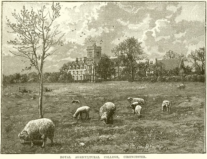 Royal Agricultural College w Cirencester autorstwa English School