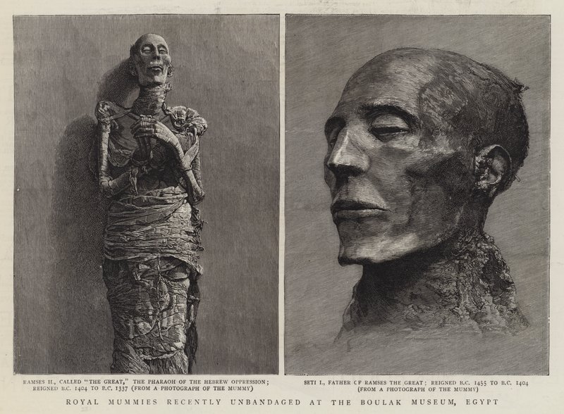 Royal Mummies niedawno Unbandaged w Muzeum Boulak w Egipcie (grafika) autorstwa English School
