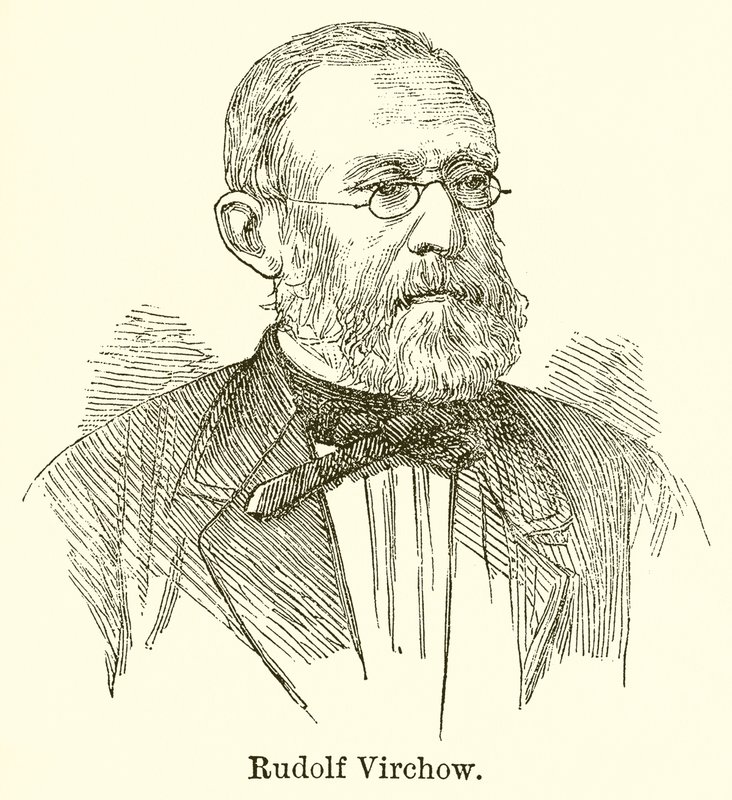 Rudolf Virchow autorstwa English School