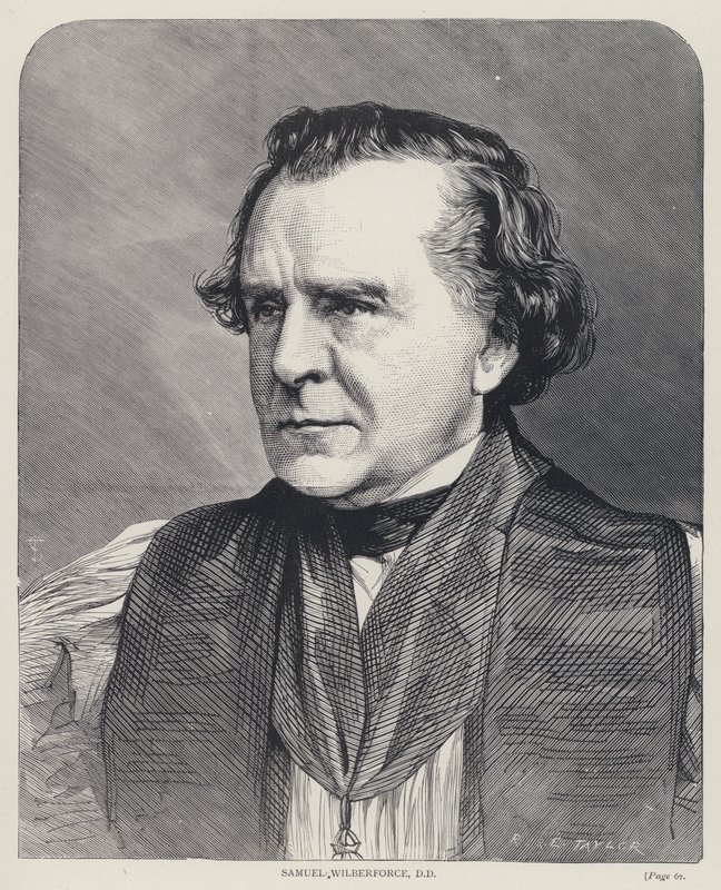 Samuel Wilberforce, DD (rycina) autorstwa English School