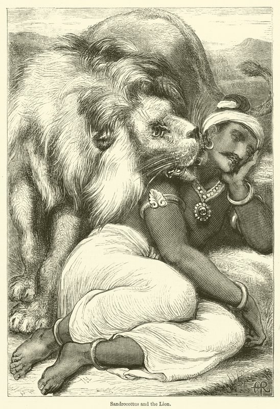 Sandrocottus i lew (rycina) autorstwa English School