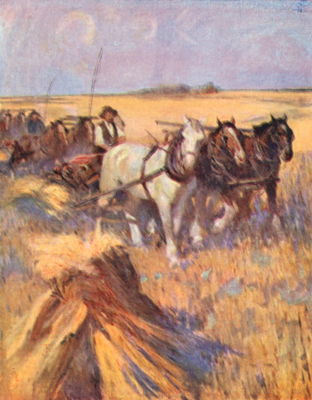 Saskatchewan, nowoczesny Szkot na swoim segregatorze (kolorowa litografia) autorstwa English School