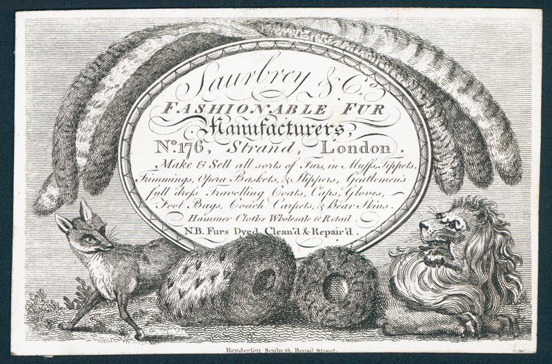 Saubry & Co, modni producenci futer, karta handlowa autorstwa English School